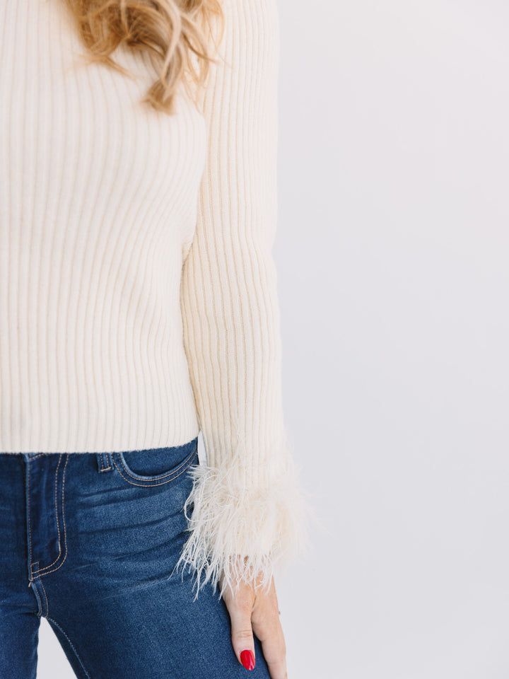 Flight of Fancy Knit Sweater