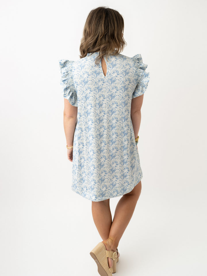Francie Fancy Sleeve BluesDress