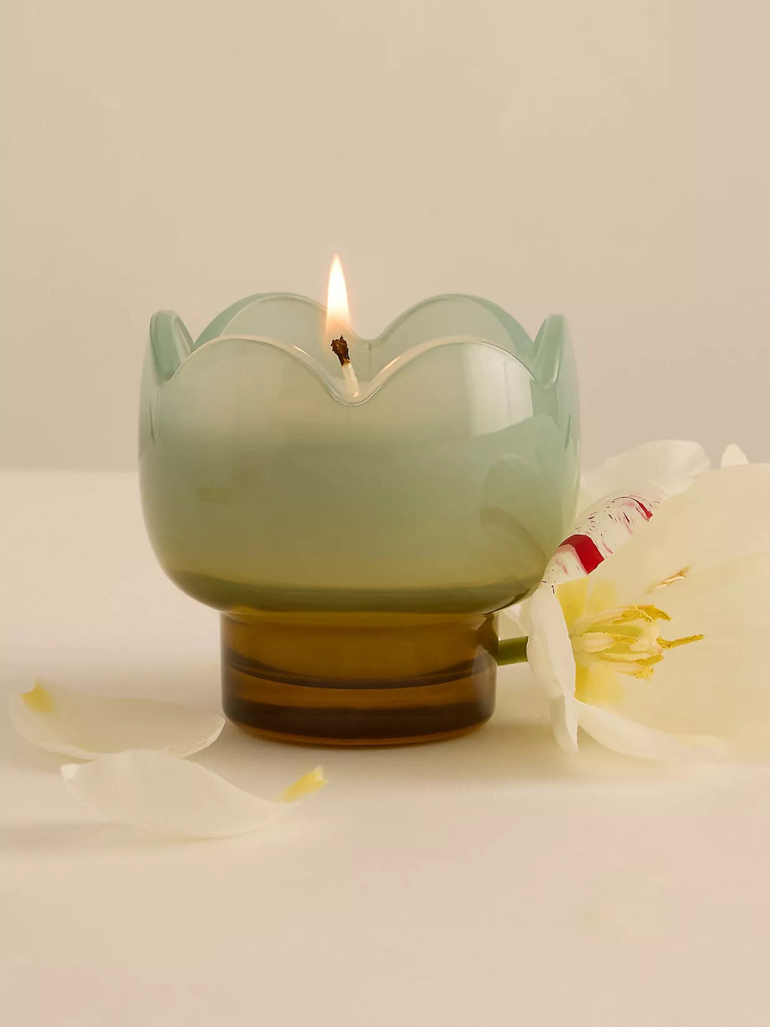Paddywax Tulip Glass Candle