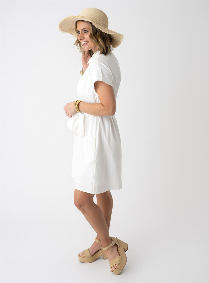 Seersucker Stripe Button Up Dress