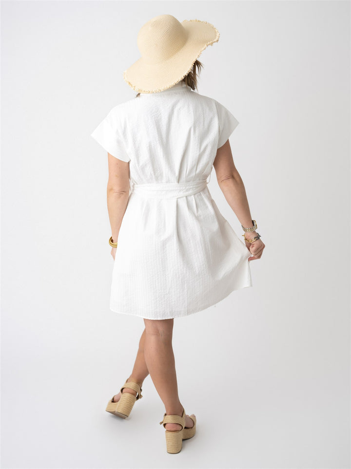 Seersucker Stripe Button Up Dress