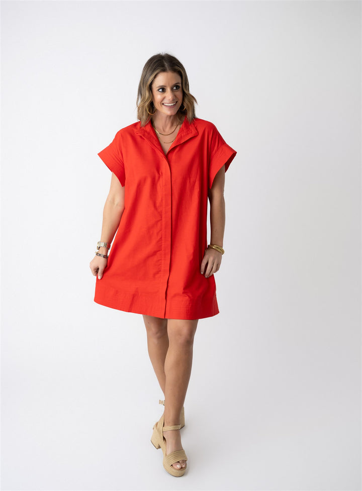 Haven Shirt Dress