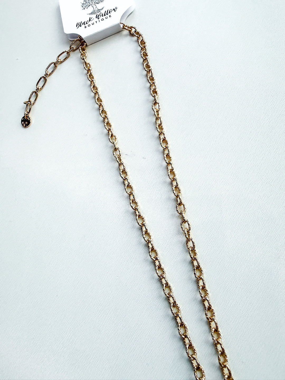 Long Chain Necklace with Stones & Charms