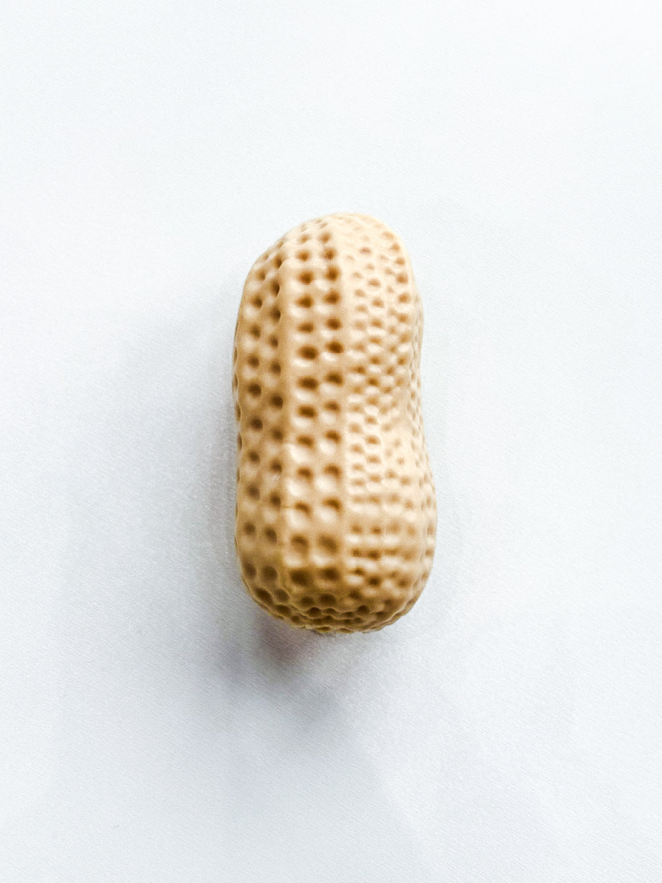 Crunchy Peanut Squishy