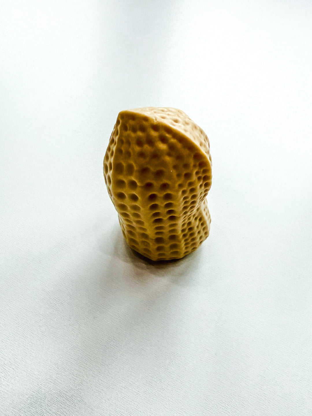 Crunchy Peanut Squishy