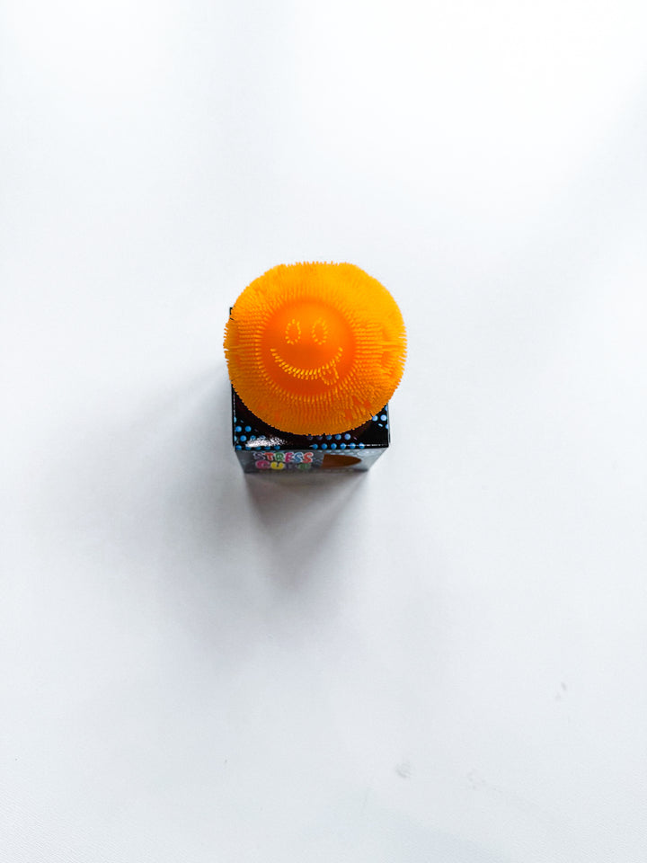 Squeeze Ball Fuzz Squishy 