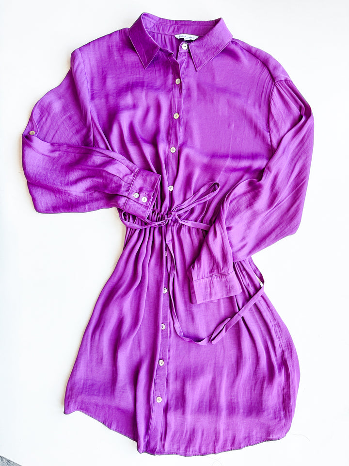 Silhouette Shirt Dress