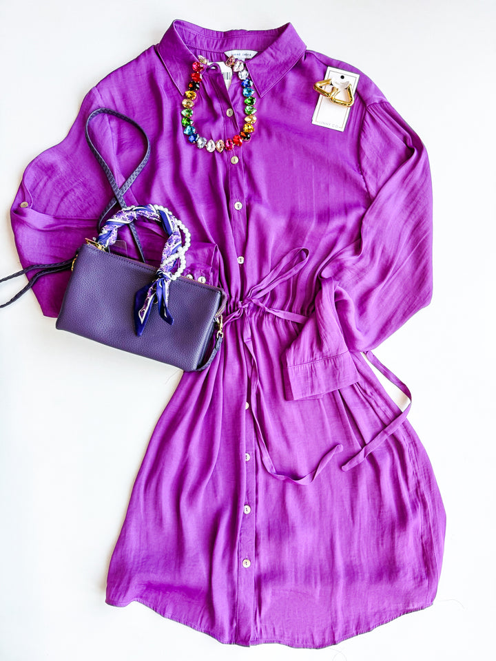 Silhouette Shirt Dress