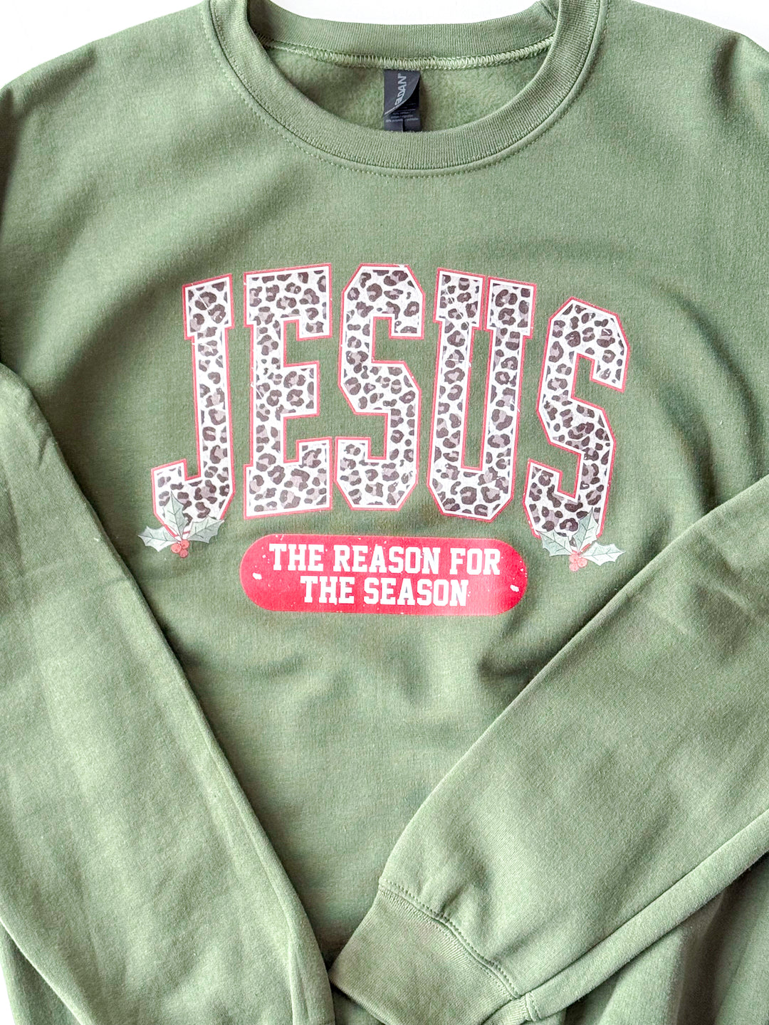 Jesus is the Reason Sweatshirt