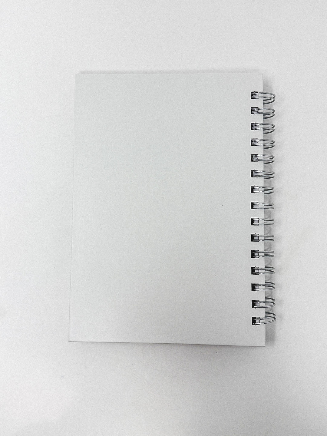 For I Know the Plans Spiral Notebook