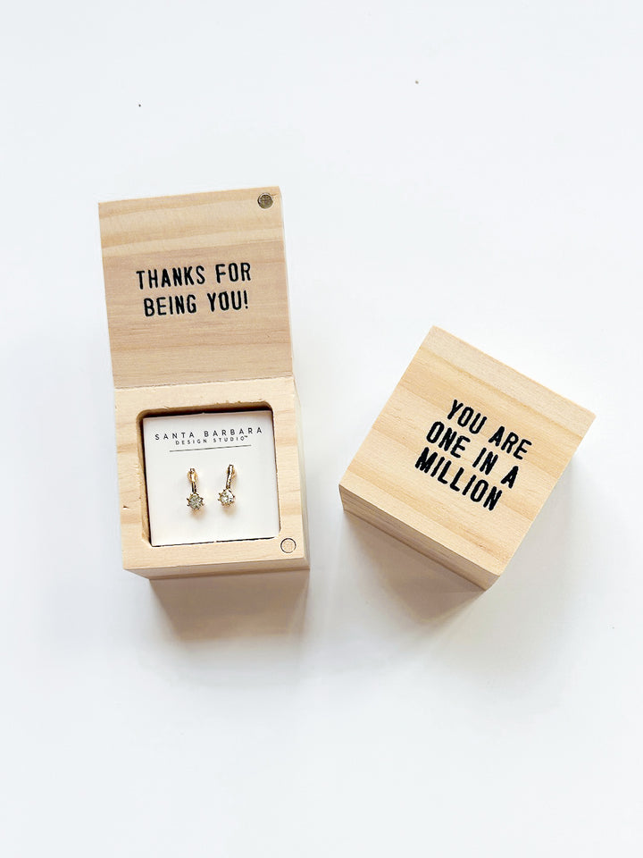 Earring Treasure Box