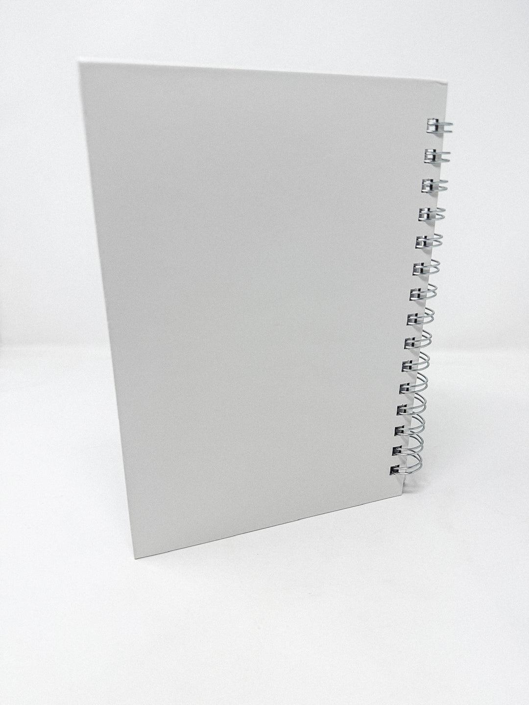 For I Know the Plans Spiral Notebook