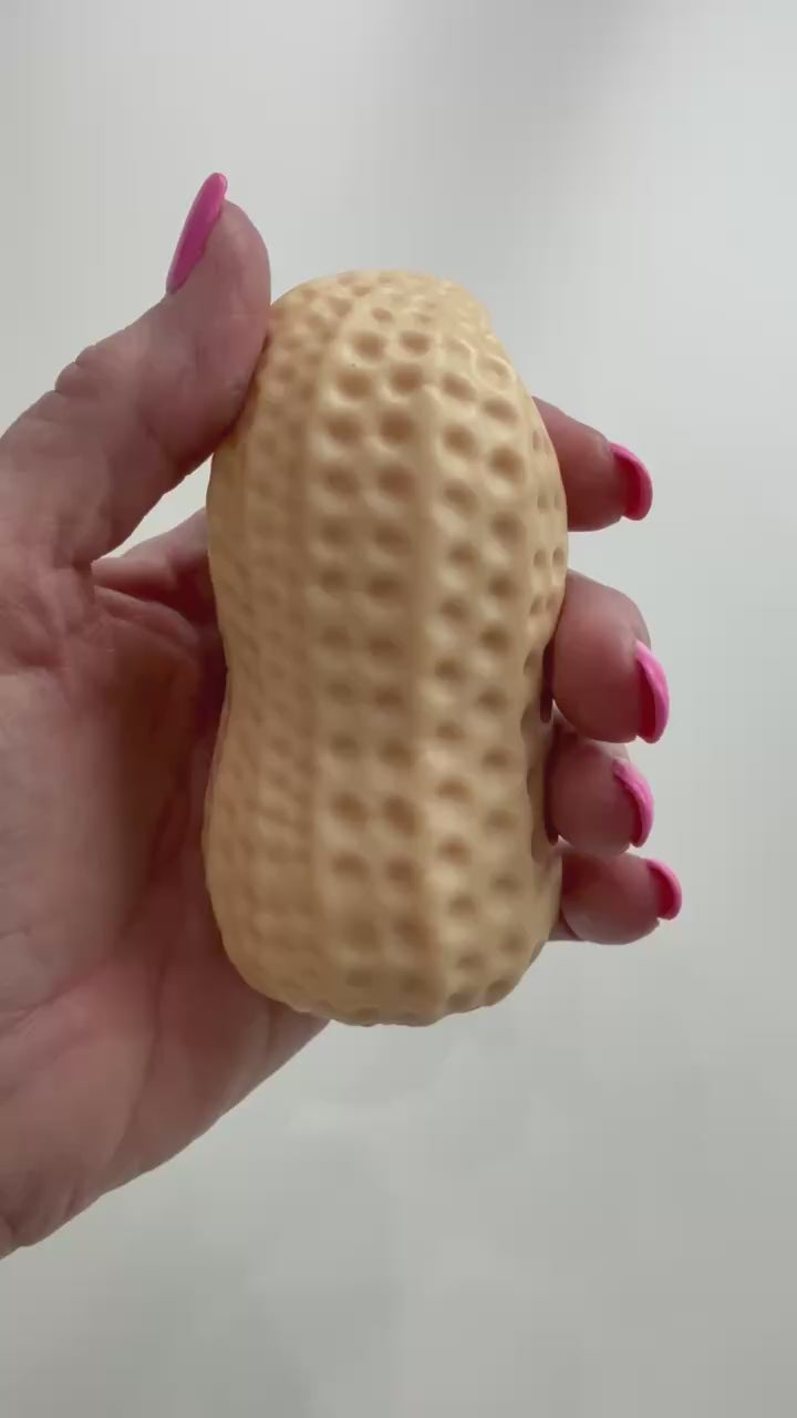 Crunchy Peanut Squishy