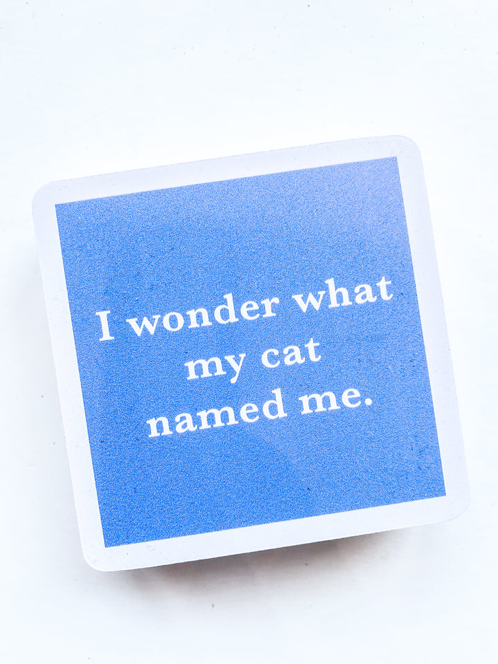 Drinks on Me Coaster